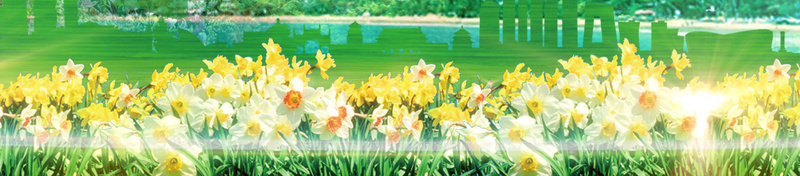 绿色清新环保宣传背景素材jpg设计背景_88icon https://88icon.com 清新 环保 生命 绿叶 绿色 绿色家园 山水 美景 生态环保 爱护环境 宣传海报