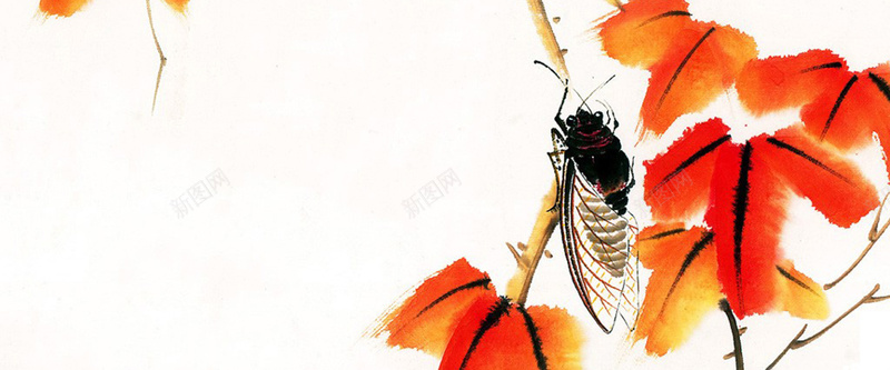 中国画知了树叶绿叶瓢虫昆虫背景