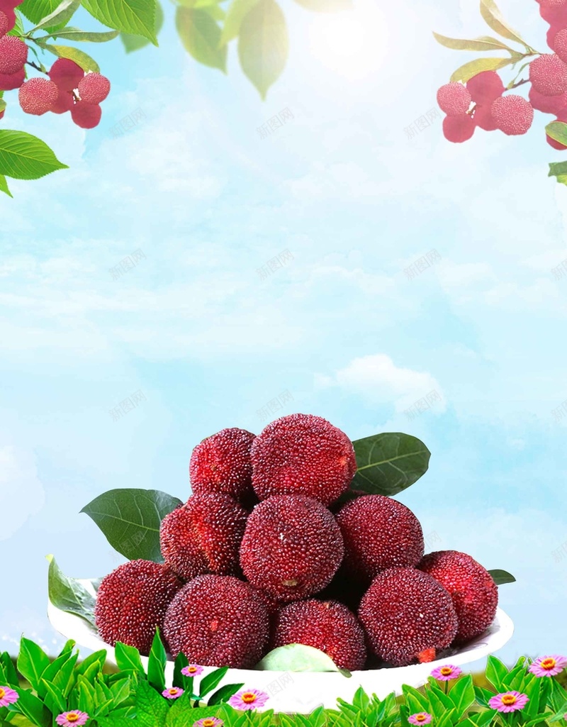 天然杨梅水果促销海报背景模板psd设计背景_88icon https://88icon.com 背景模板 采摘季 促销 水果 海报 天然杨梅 大气 新鲜 健康 绿色 营养