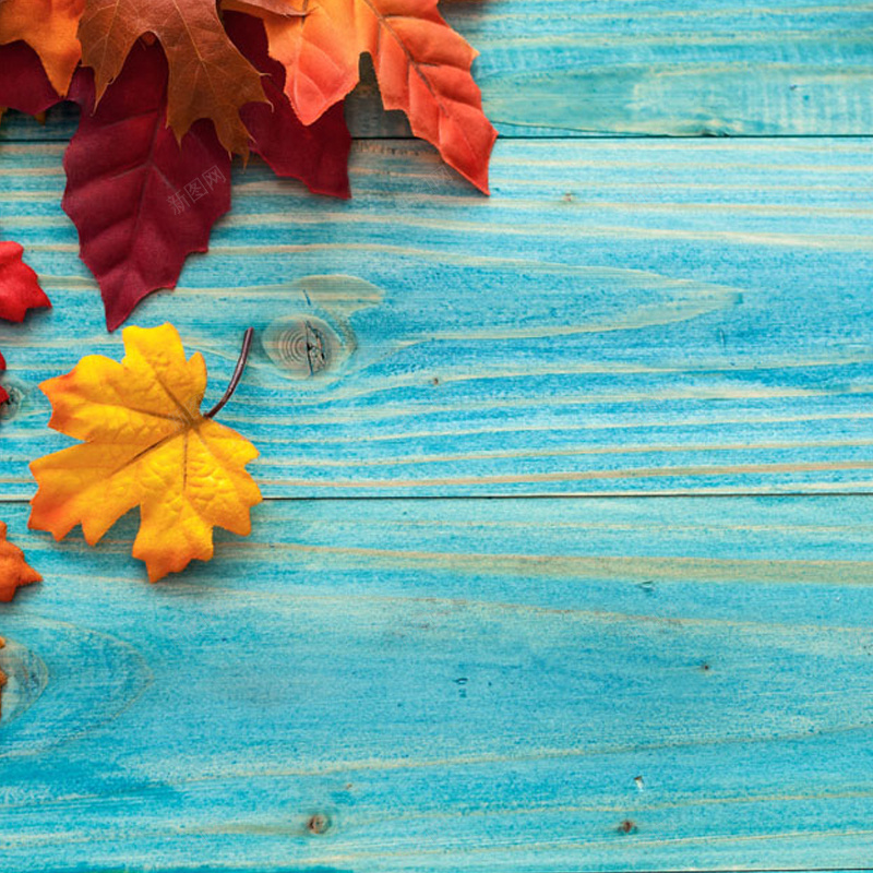 木板纹理枫叶背景图jpg设计背景_88icon https://88icon.com 木板 纹理 枫叶 树叶 秋季 主图 质感