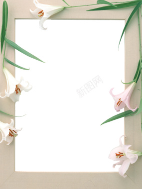 相框相册花朵花环背景