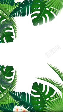 绿叶H5背景背景