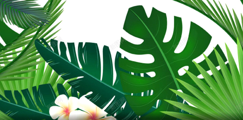 绿叶H5背景jpg设计背景_88icon https://88icon.com 叶子 文艺 清新 生命 绿色 H5背景 H5 h5 小清新 简约