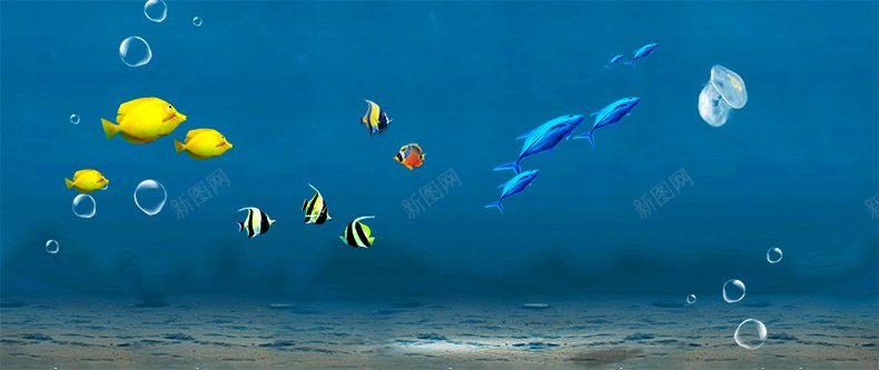 海底海洋世界鱼群背景背景
