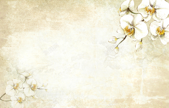 白色手绘花朵背景背景
