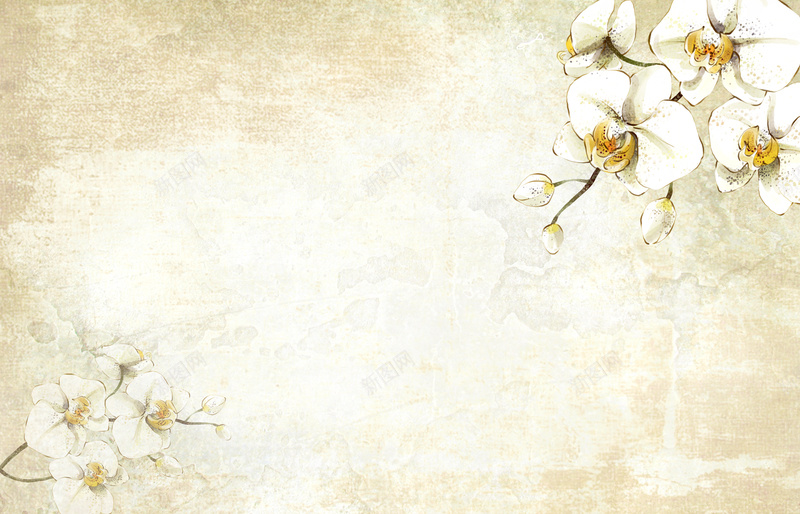 白色手绘花朵背景psd设计背景_88icon https://88icon.com 手绘 水彩 白色 花卉 花朵 纹理 植物 清新 卡通 童趣