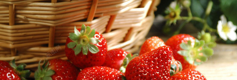 草莓背景背景
