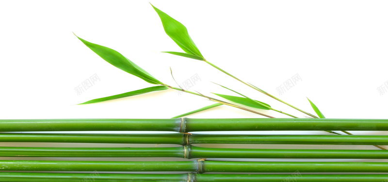 简约的竹子jpg设计背景_88icon https://88icon.com 竹子 竹叶 绿色的叶子 海报banner 摄影 两根竹子 风景