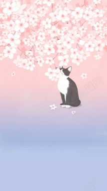 粉色清新花卉猫咪平面广告背景
