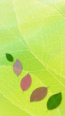 叶子H5背景背景