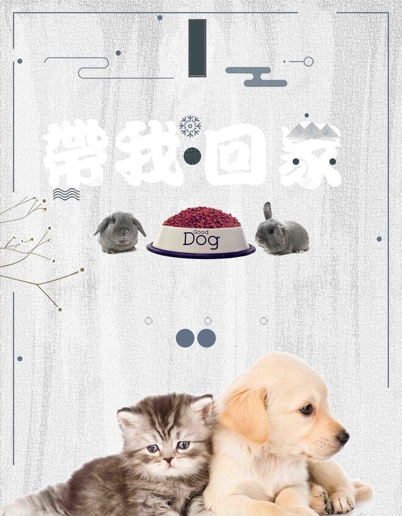 带我回家公益宣传推广活动psd设计背景_88icon https://88icon.com 公益 公益广告 公益活动 动物庇护所 宠物 带我回家 救助 救援 流浪动物 流浪宠物 流浪狗 流浪猫 领养