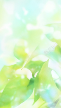 绿底树叶发光H5背景素材背景
