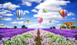 热气球墙纸紫色梦幻热气球背景素材高清图片