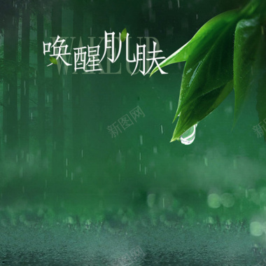 下雨树叶雨滴化妆品海报背景素材背景