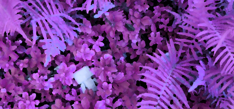 水彩水粉花植物画jpg设计背景_88icon https://88icon.com 植物 水彩 水粉 画 花 紫色 海报banner 卡通 童趣 手绘