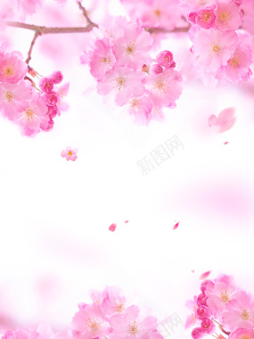 粉色浪漫美妆海报背景背景