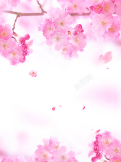 粉嫩色粉色浪漫美妆海报背景高清图片