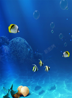 鱼儿海底世界蓝色水波海底世界海报背景高清图片