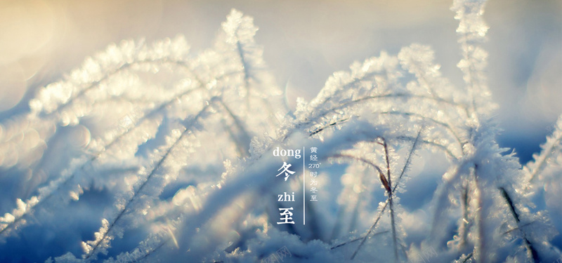 冬至雪花冬季大雪浪漫白色海报背景jpg设计背景_88icon https://88icon.com 农历 冬 冬天 冬季 冬至 冬至海报素材 唯美 大雪 日期 植物 浪漫 白色 雪花
