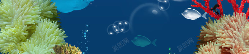 海底阳光照射背景jpg设计背景_88icon https://88icon.com 梦幻 海底 照射 阳光 魅力 海底风光 气泡 大海梦幻景色 海底世界 鱼 珊瑚