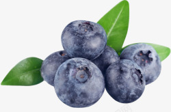 蓝莓 水果食物蔬菜生鲜素材