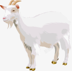 goat13149拼贴动物sucai素材