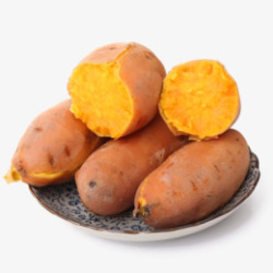 番薯红薯地瓜素材