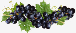 grapesgrapes4177633960720水果蔬菜高清图片
