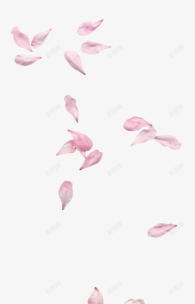 花瓣漂浮散落花瓣png免抠素材_88icon https://88icon.com 花瓣 漂浮 散落