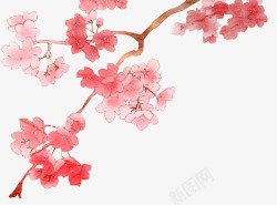 手绘春天旅游粉红色的桃花素材