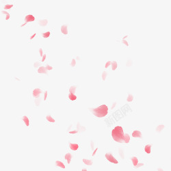 粉色漂浮花瓣玫瑰装饰装饰素材
