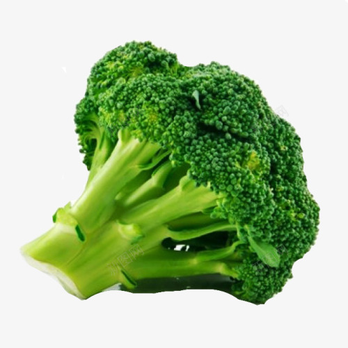 Broccoli 蔬菜png免抠素材_88icon https://88icon.com 蔬菜