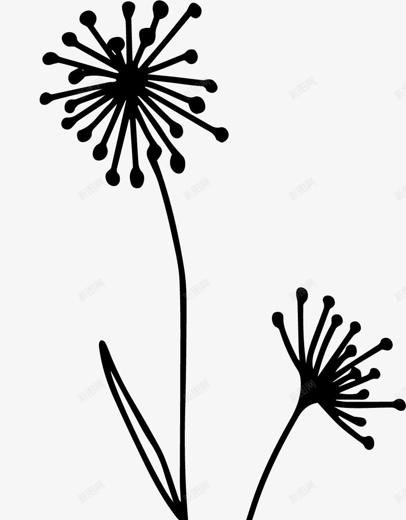 Botanicals一些乱乱的小点点png免抠素材_88icon https://88icon.com 一些 乱乱 小点 点点
