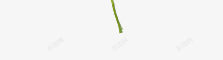 花Z植物png免抠素材_88icon https://88icon.com 植物