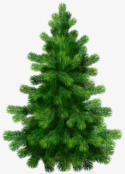 tree 免扣素材