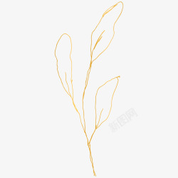 botanical leaves  sketched florals纹理素材