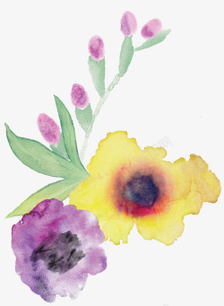 11FreeWatercolorFlowers手绘素材