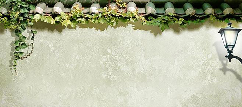 发旧的绿色砖墙和藤蔓背景
