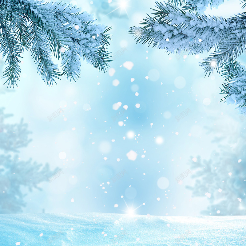 浪漫冬季雪花松枝背景jpg设计背景_88icon https://88icon.com 浪漫 冬季 雪花 雪 松枝 光斑 蓝色 主图 梦幻