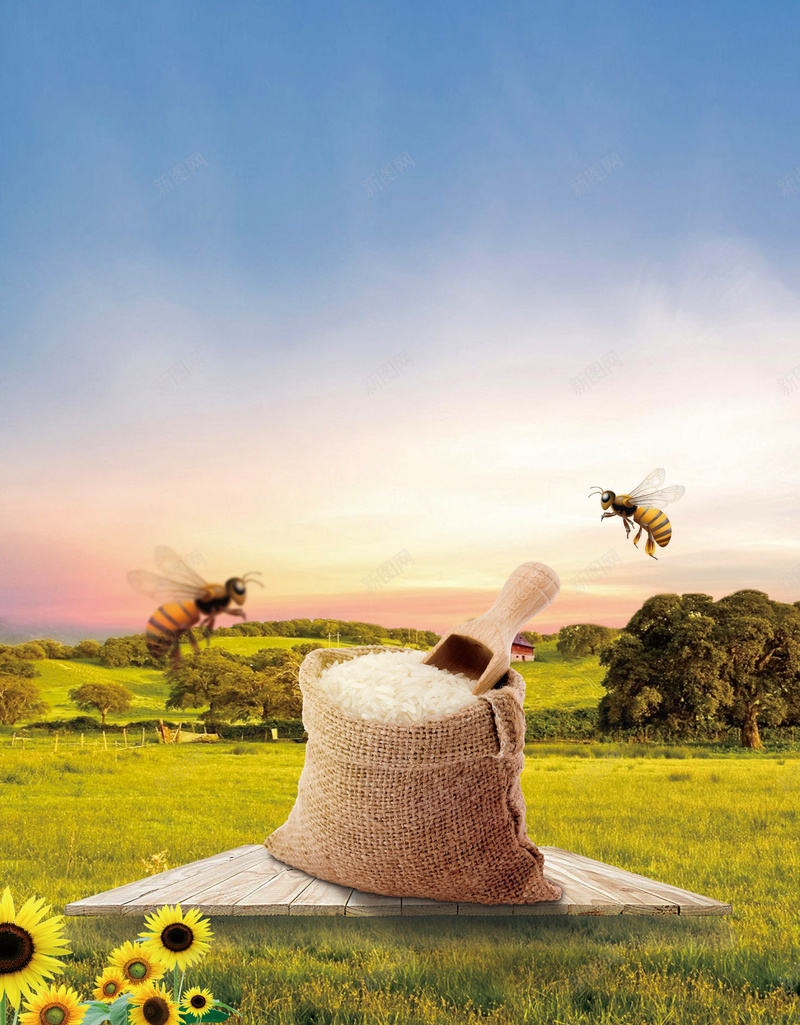 原生态大米海报宣传背景psd设计背景_88icon https://88icon.com 原生态 向日葵 大米 渐变 绿色 草地 大米海报 风景背景