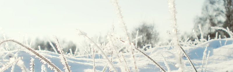 冬天雪背景jpg设计背景_88icon https://88icon.com 冬天背景 冬天雪背景 下雪banner 篱笆背景 雪景 冬天雪 海报banner 摄影 风景