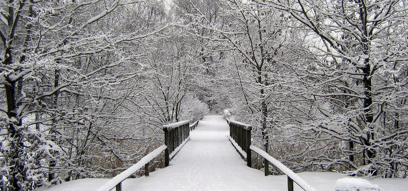 冬季雪天木桥背景背景