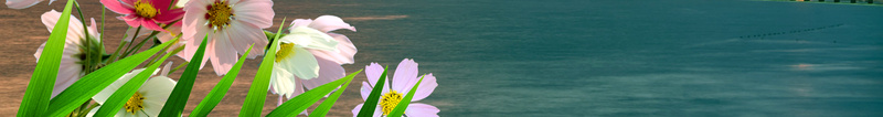 简洁广告背景素材psd设计背景_88icon https://88icon.com 唯美 浪漫 海报 清新 花草 度假 节日 放假 梦幻 蓝天 白云 小岛背景