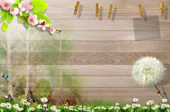 木板桃花蒲公英野菊花竹夹子绘成的相框背景背景