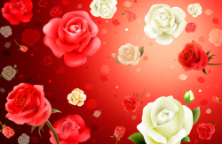 红白婚礼设计立体红白玫瑰红色花婚礼高清图片