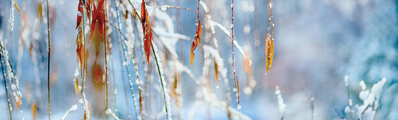 冬天雪景banner创意设计psd设计背景_88icon https://88icon.com 天空 山峰 积雪 色彩 路 海报banner 其他