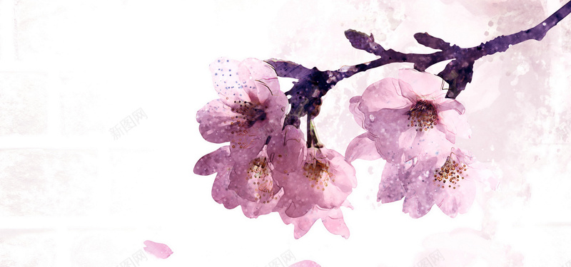 粉色手绘樱花背景背景