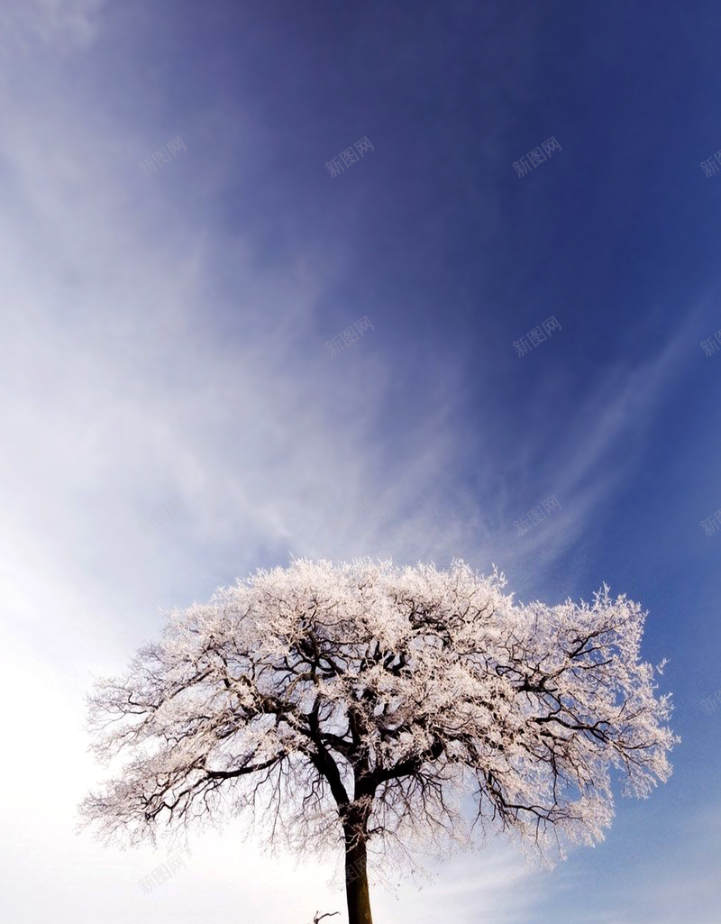 节气海报背景素材jpg设计背景_88icon https://88icon.com 节气海报 二十四节气 传统节日 24节气 自然 秋季 冬景 立冬 中国传统节气