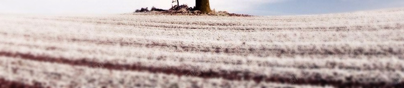 节气海报背景素材jpg设计背景_88icon https://88icon.com 节气海报 二十四节气 传统节日 24节气 自然 秋季 冬景 立冬 中国传统节气