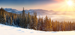 冬天的山冬季雪花雪景高清图片